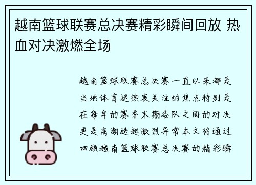 越南篮球联赛总决赛精彩瞬间回放 热血对决激燃全场