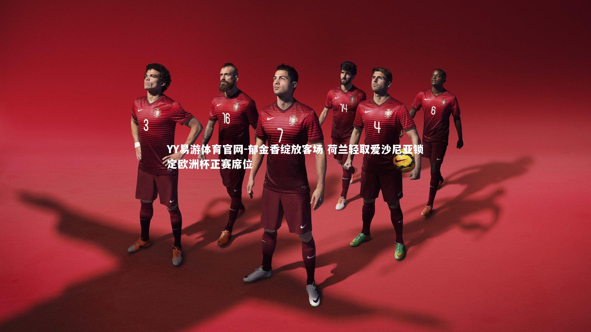 郁金香绽放客场 荷兰轻取爱沙尼亚锁定欧洲杯正赛席位